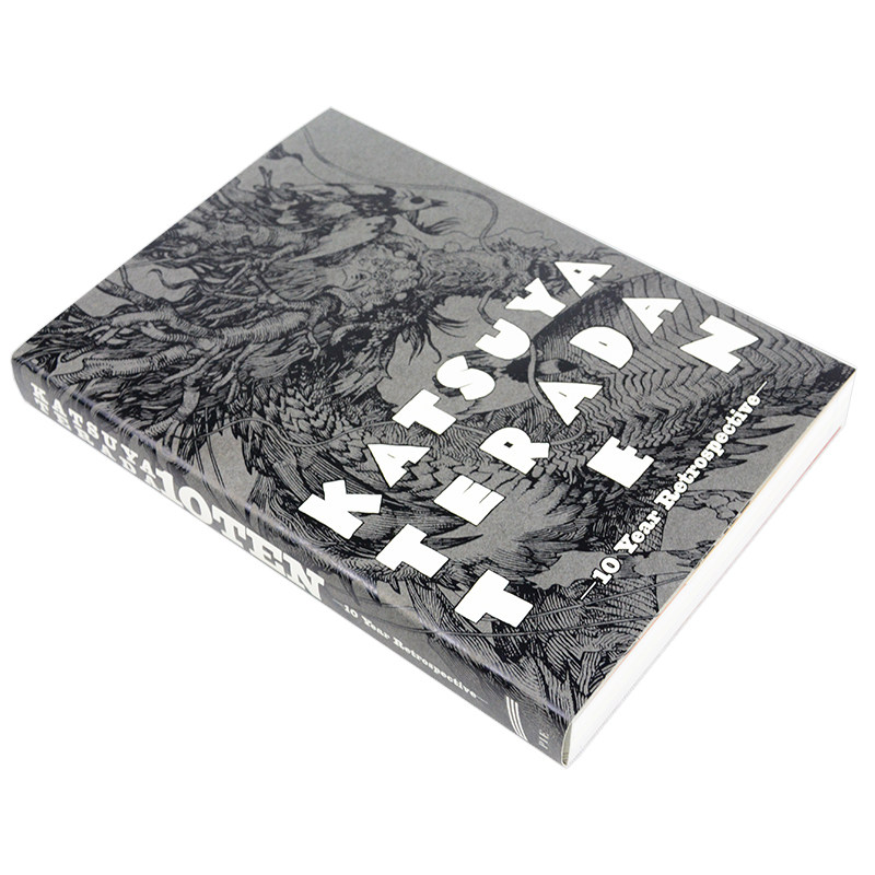 Katsuya Terada 10 Dez 10 Anos  - Photography Book avaliação e preço