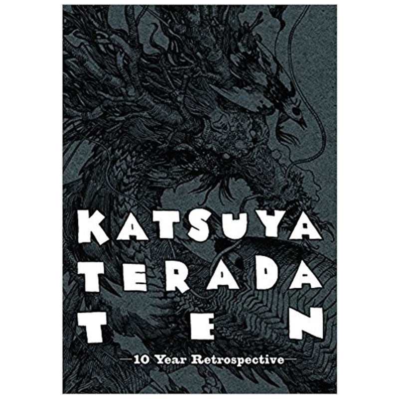 Katsuya Terada 10 Dez 10 Anos  - Photography Book avaliação e preço
